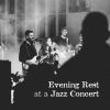 Download track Evening Rest