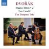 Download track Piano Trio No. 2 In G Minor, Op. 26, B. 56: I. Allegro Moderato