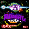 Download track Mix Virtual Anibal Y Los Heredeos 2: Me Gusta Soñar Contigo / Otra Noche Mas / En Peligro De Extincion (En Vivo)