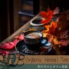 Download track Quiet Autumn Cafe