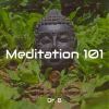 Download track Dr. B's Meditation Insights