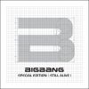 Download track Fantastic Baby