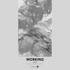 Download track Working (Extended Mix)