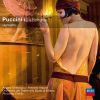 Download track Puccini- La Bohème - Act 4 - -O Mimì, Tu Più Non Torni- (Extract)