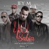 Download track Yo Sabía (Alexis & Fido, De La Ghetto Y Carlitos Rossy) [Official Remix]