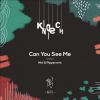 Download track Can You See Me