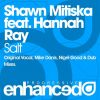 Download track Salt (Mike Danis Remix)