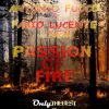 Download track Passion Of Fire (Dance Mix)