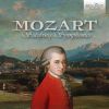 Download track Divertimento In D Major, K. 136: I. Allegro