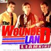 Download track The Wounded Land