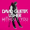 Download track Without You (Instrumental)