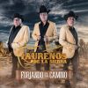 Download track El Corrido De Fernando