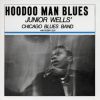 Download track Hoodoo Man Blues (Alternate Take)