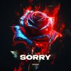 Download track Sorry (Extended Mix)