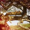 Download track Trial Of Sleep