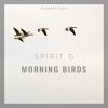 Download track Joyful Bird Recording