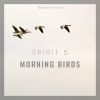 Download track Powerful Summer Bird Recordings