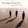 Download track String Trio: III. Molto Vivace