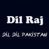 Download track Dil Dil Pakistan