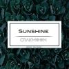 Download track Sunshine (Ketsie Aves Remix)