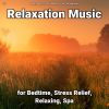 Download track Dreamy Music For Mindfulness