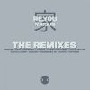 Download track When I'm Lost (Avidus Remix)