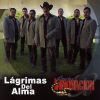 Download track Lagrimas Del Alma