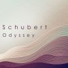 Download track Schubert: Hungarian Melody In B Minor, D. 817