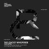 Download track The Ghost Whisperer (Original Mix)