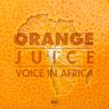 Download track Voice In Africa (Electro Pop Remix)