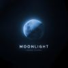 Download track Moonlight (Instrumental)