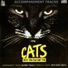 Download track The Ad-Dressing Of Cats (Karaoke Version)