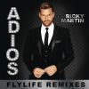 Download track Adiós (DJ Riddler Remix [English Version])