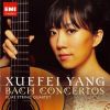 Download track 12. Concerto In A Minor BWV1041 - I. Allegro Moderato