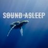 Download track Calming Aquatic Underwater Sounds, Pt. 12