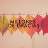 Download track Millones De Gracias