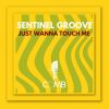 Download track Just Wanna Touch Me (Extended Mix)