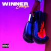 Download track Winner