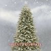 Download track Christmas Classics