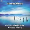 Download track Serene Music, Pt. 21