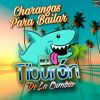 Download track Pajaro Carbon