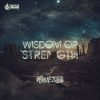 Download track Wisdom Or Strength (Radio Edit)