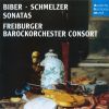 Download track 10. Schmelzer _ Sonata A Due Con Basso Continuo In D Minor