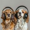 Download track Playful Pup Music