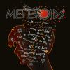 Download track Meteroids (Hidden Track)