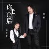 Download track 你走了以后 (伴奏)