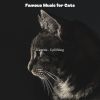 Download track Pleasant (Cute Kittens)