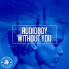 Download track Without You (Radio Edit)