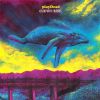 Download track Fat Whale Drive Slow