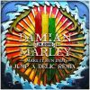 Download track Make It Bun Dem (Jump A Delic Remix)